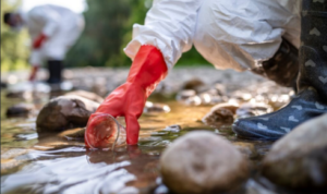 bacteria in water