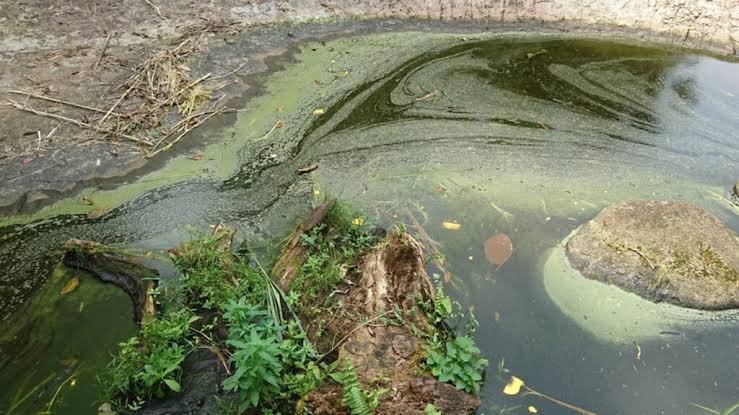 water pollution